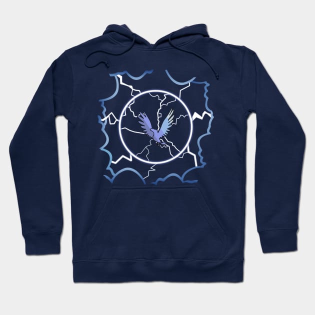 Thunderbird hoodie store